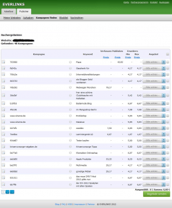 Everlinks Kampagnenübersicht