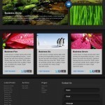 wordpress theme ipad